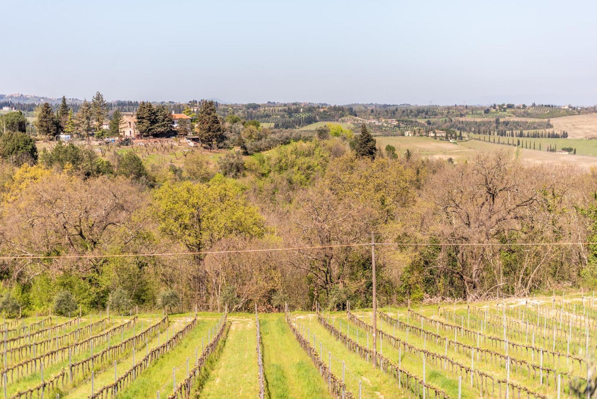 Country House Tenuta Fornacelle San Gimignano Buitenkant foto