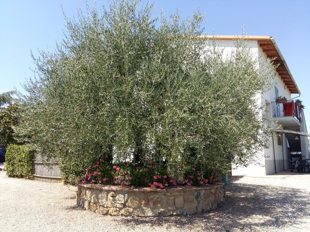 Country House Tenuta Fornacelle San Gimignano Buitenkant foto